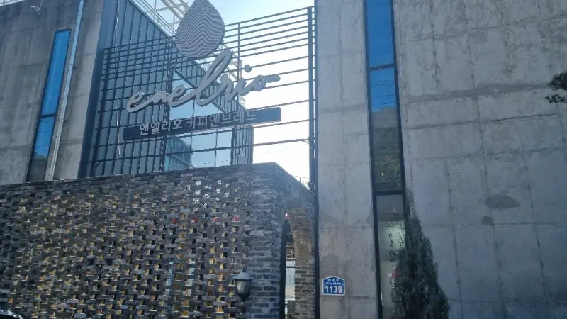 대구 근교 주차 편한 카페 '엔엘리오': 강변 뷰와 파크골프장 풍경이 있는 주말 힐링