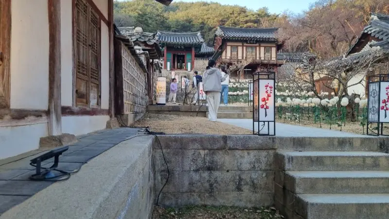 도산서원 야간개장