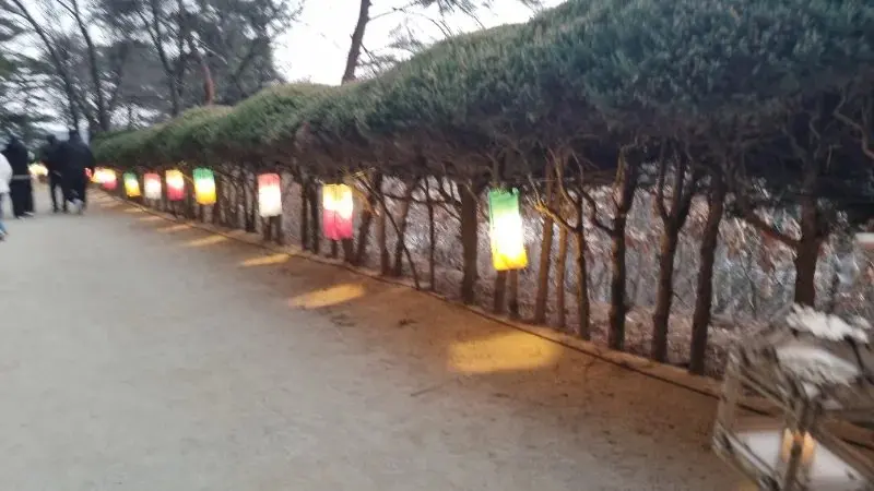 도산서원 야간개장