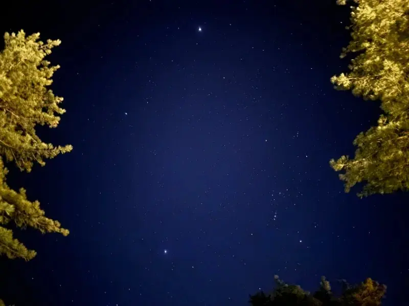 도산서원 야간개장