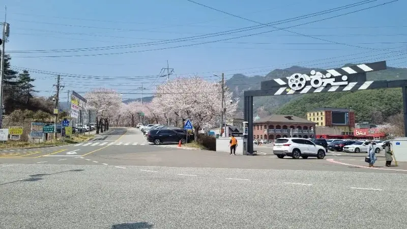 합천벗꽃명소