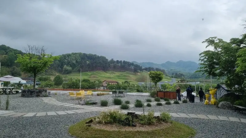[성주 카페 추천] 마운트리(MOUN TREE) - 고분군 뷰가 한눈에 들어오는 힐링 명소
